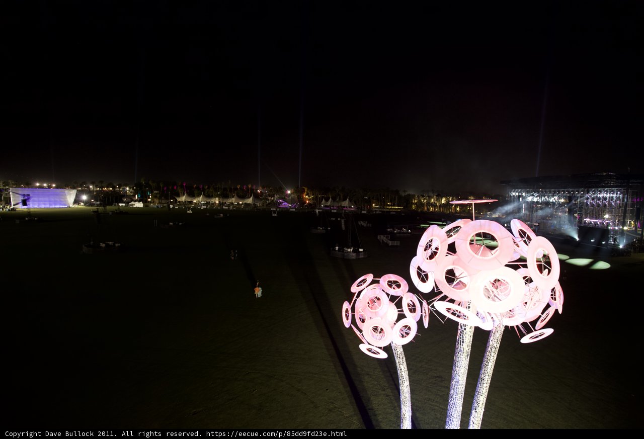 Pink Flower Illumination