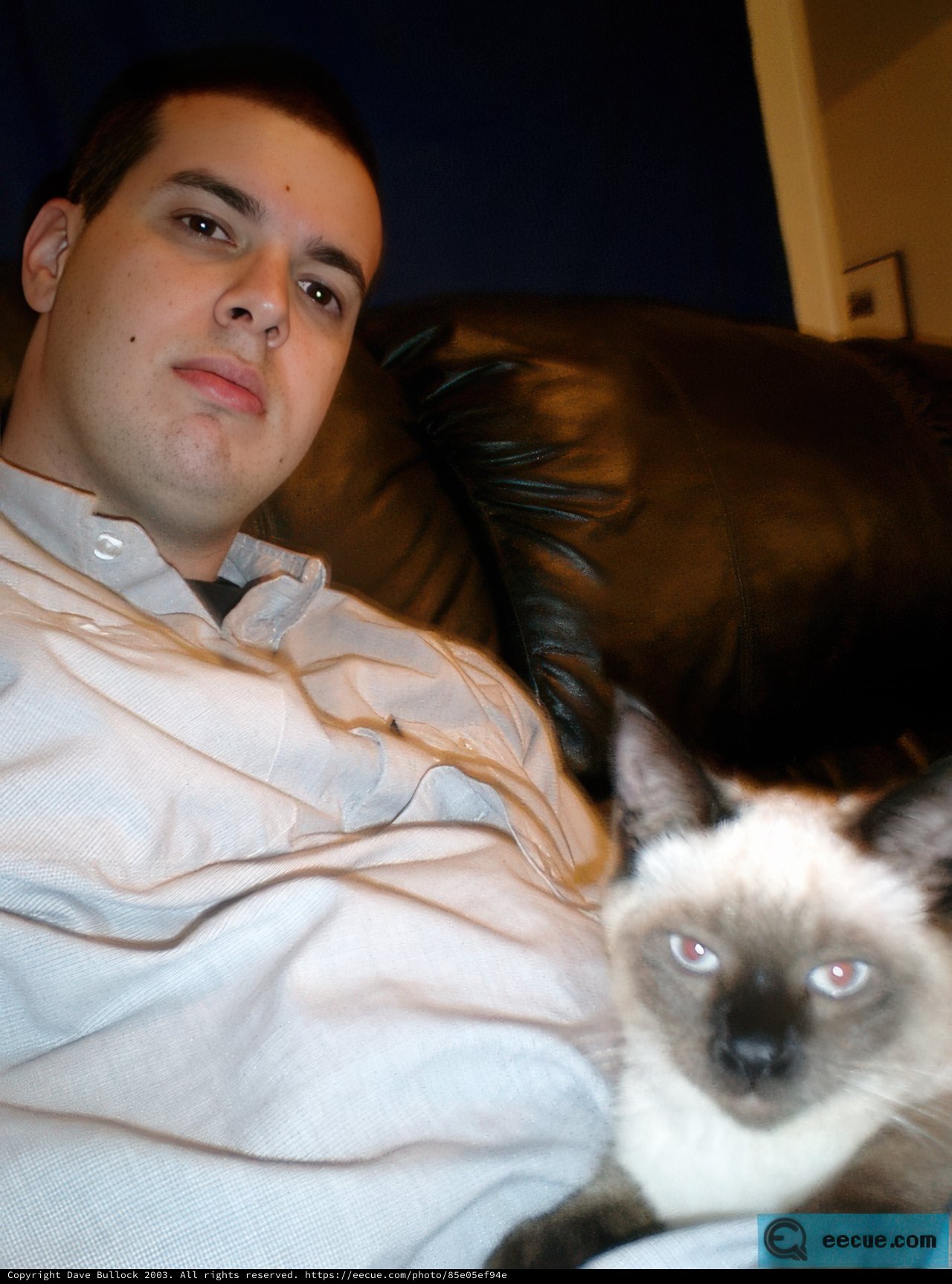 Man and Cat on the Couch