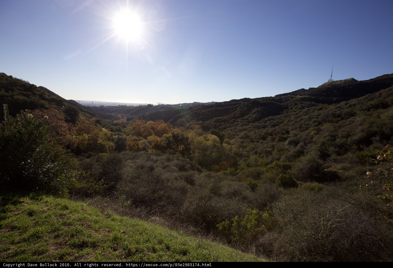 Hollywood Hills in the Golden Light