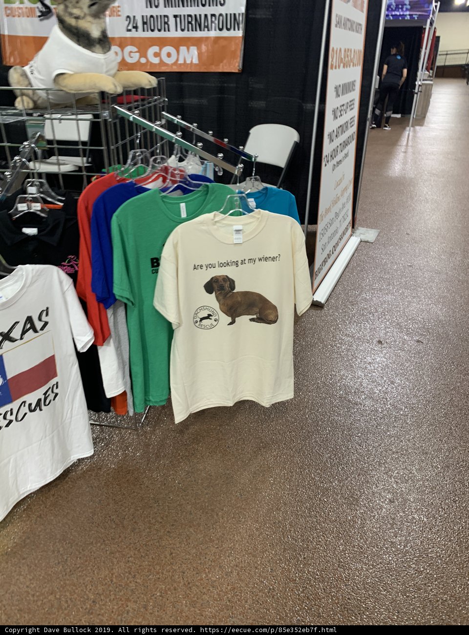 Dog Shirt on Display