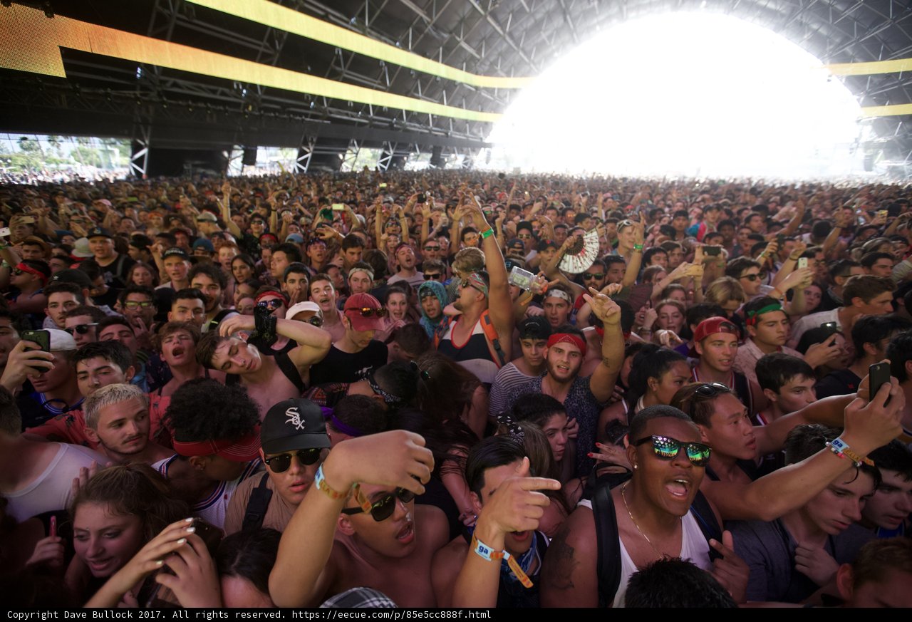 Music Festival Madness