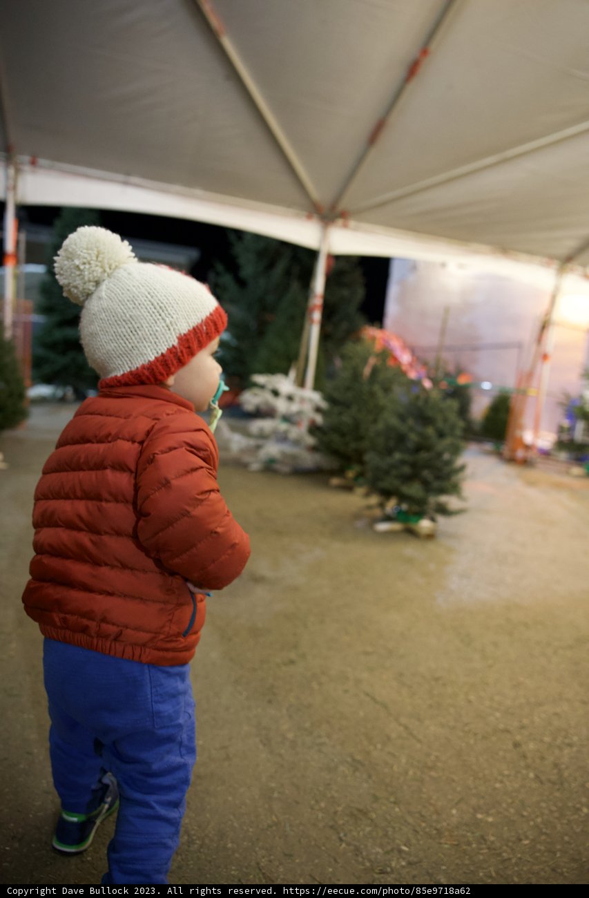 Winter Whimsy: Wesley's Christmas Adventure