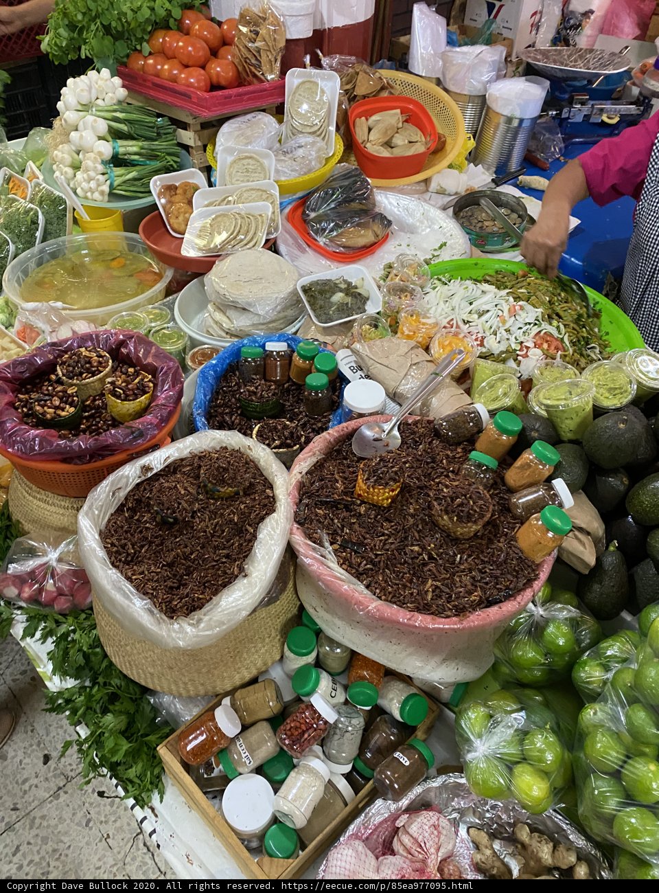 Flavors of Coyoacan