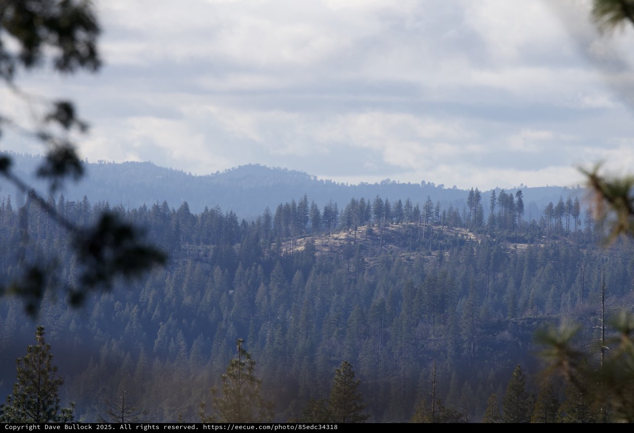 Misty Forest Hills After Wildfire in California