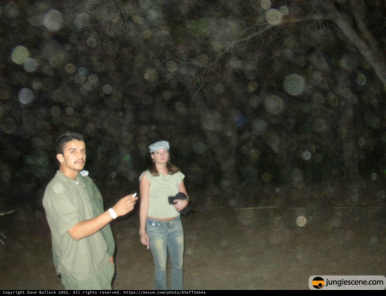 Night Walk