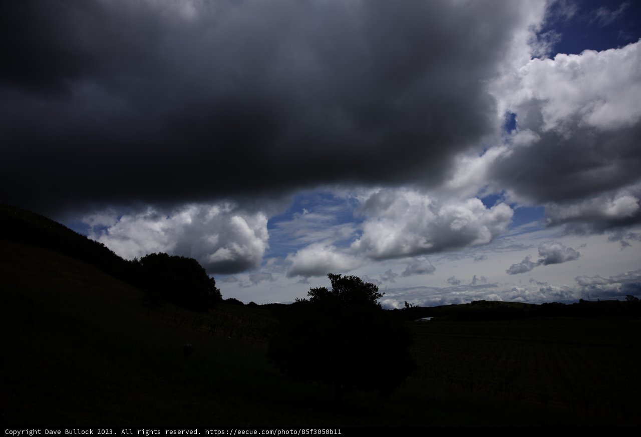 Serenity in Sonoma Skies