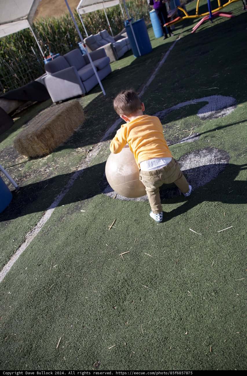 Morning Playtime Adventure