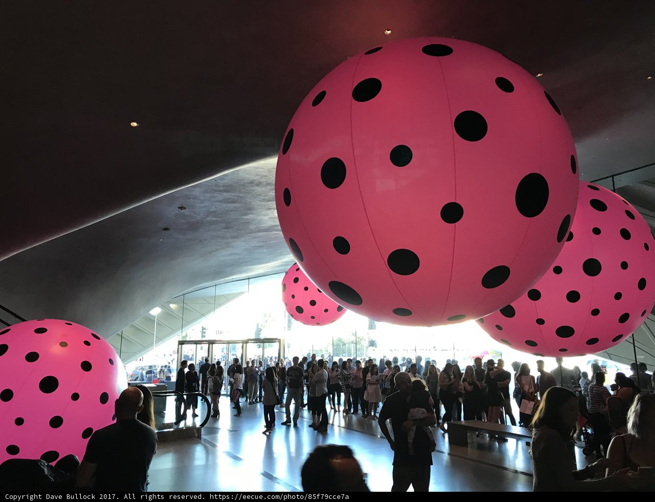 Polka Dot Party