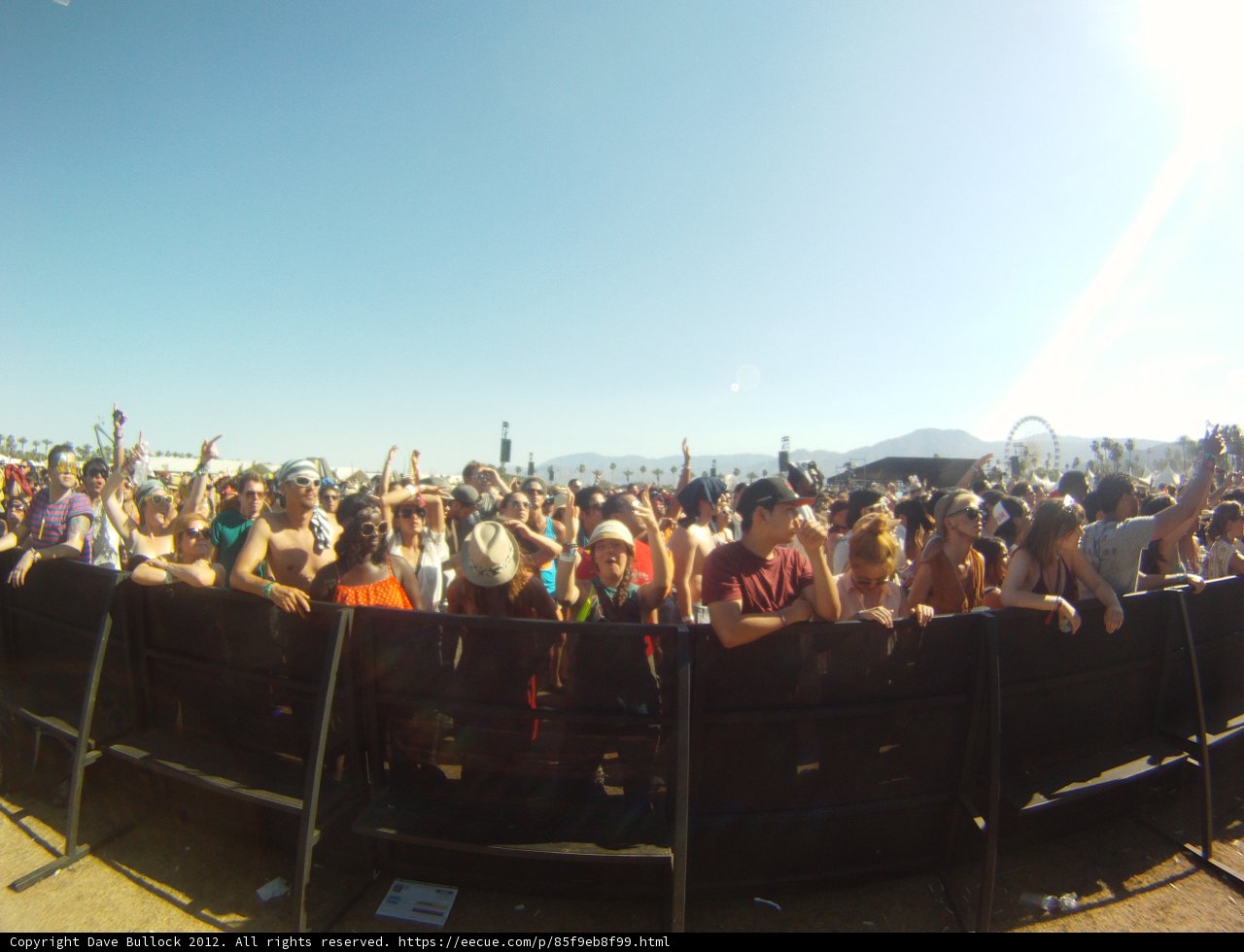 The Ultimate Music Festival Experience
