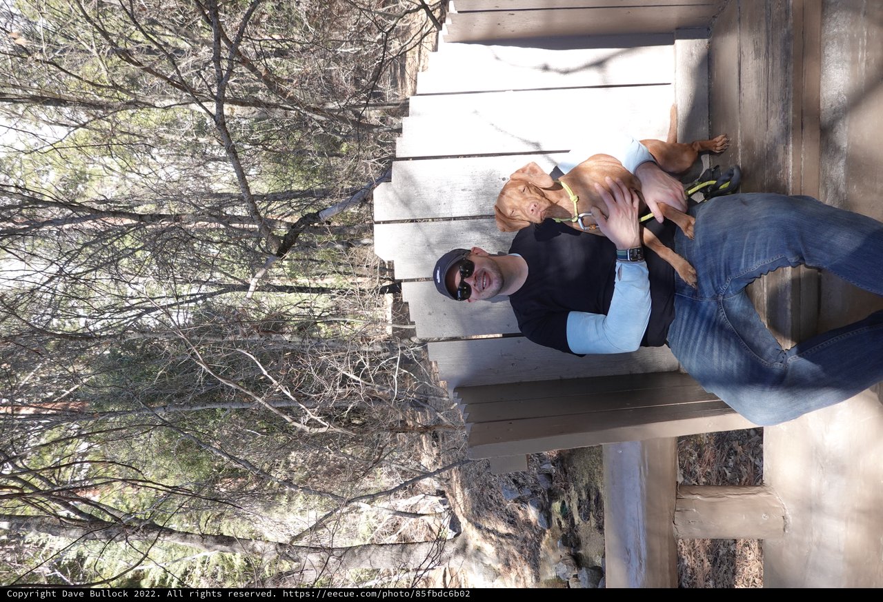Man and Dog Relaxing on Wooden Bench