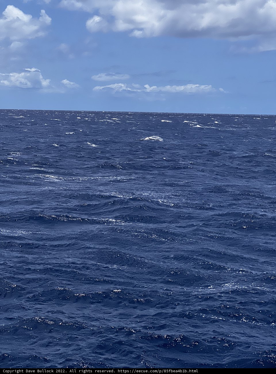 Sail away into the Hawaiian horizon