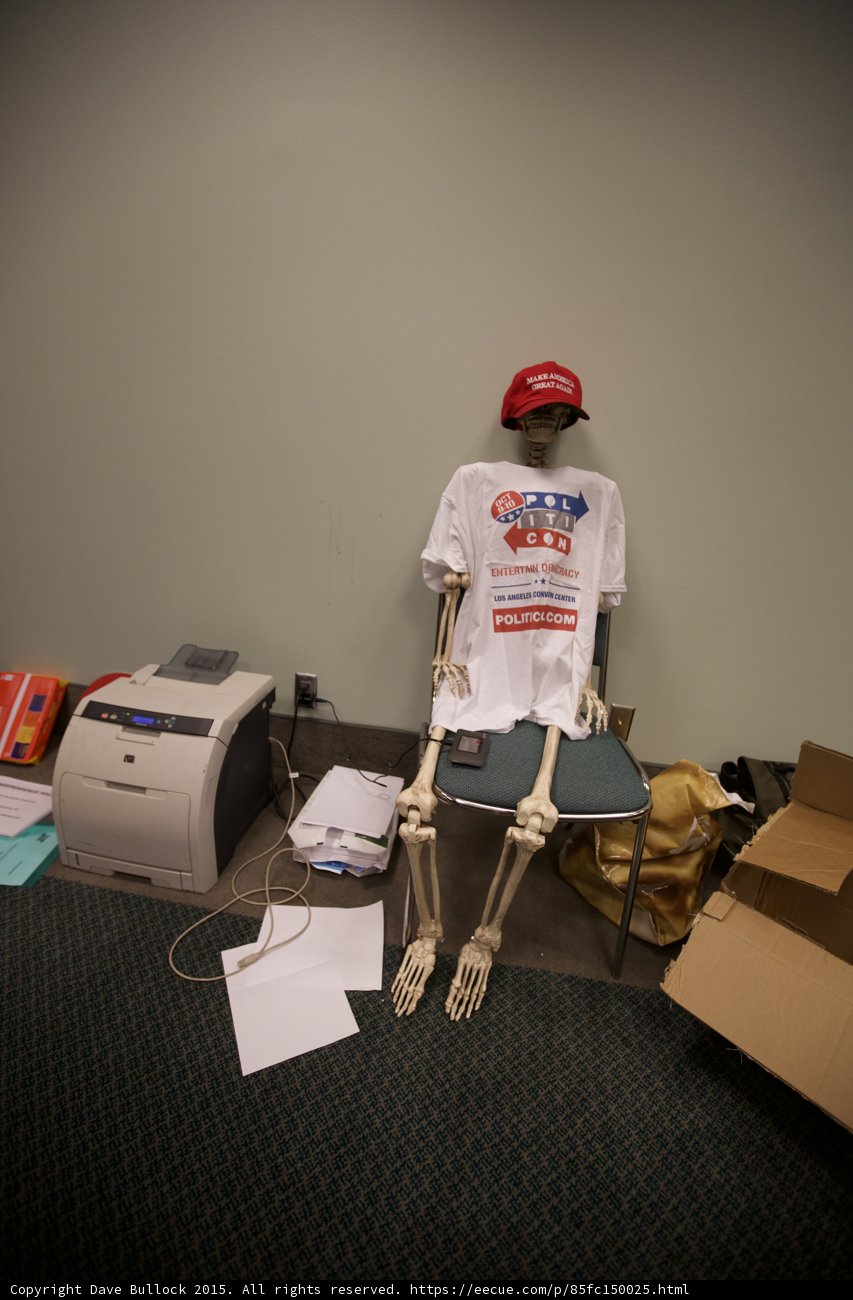 Skeleton Office Assistant