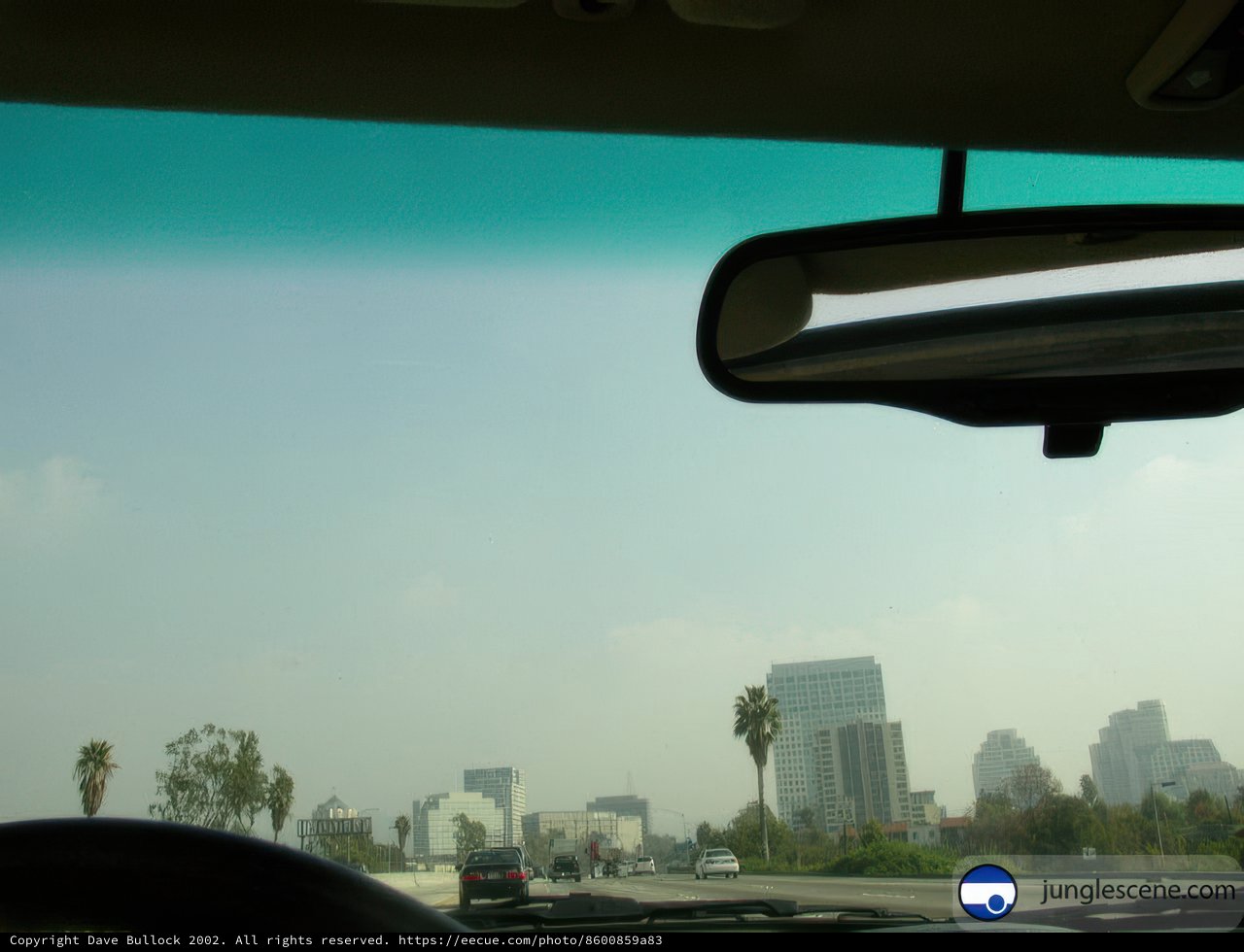 Driving Through the Smog