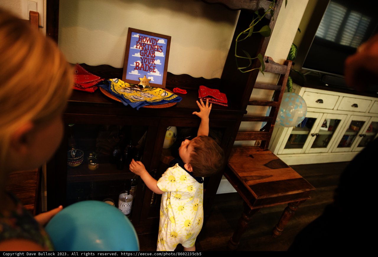 The Magic of a First Birthday