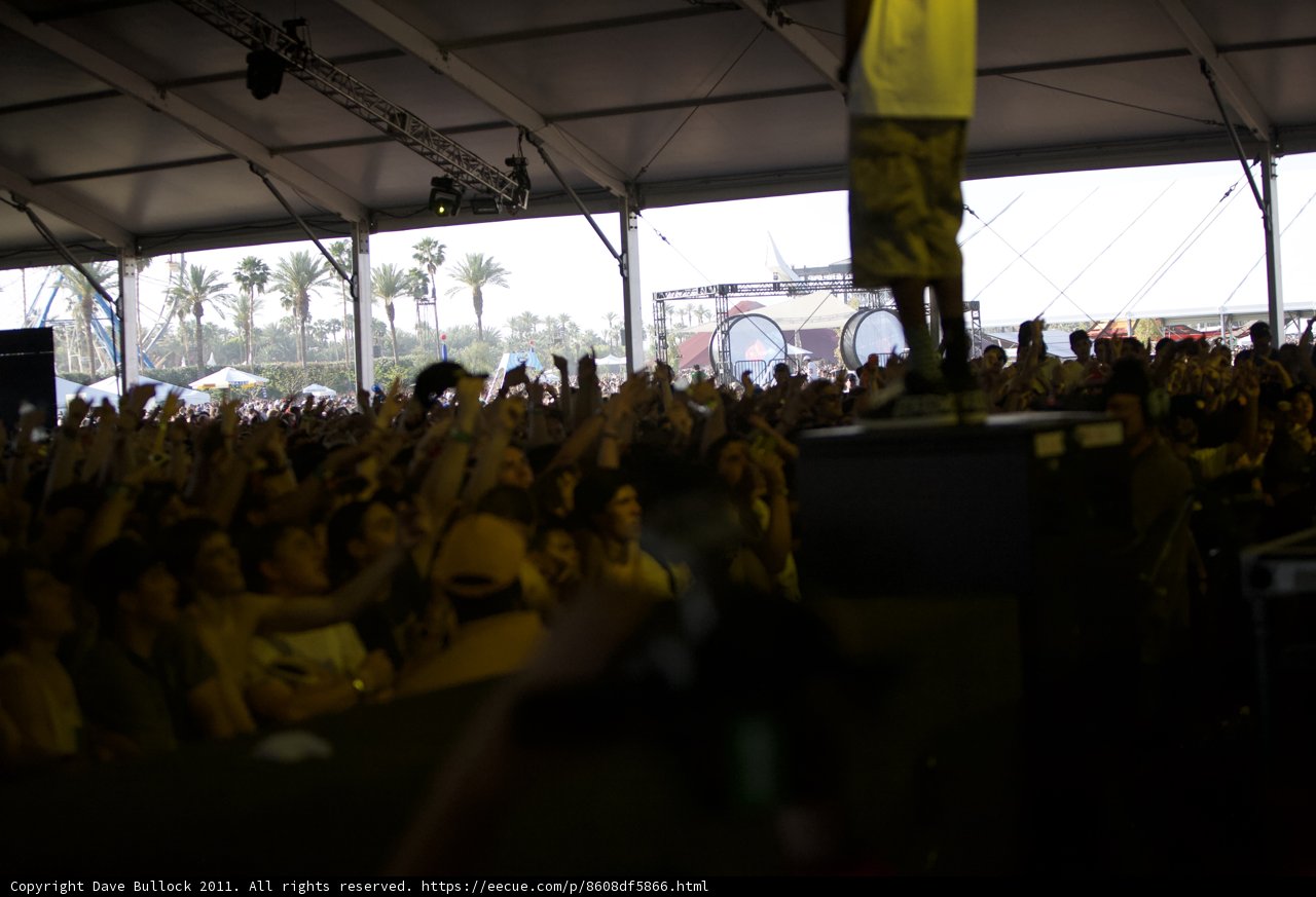 Energetic Man Rocks Coachella