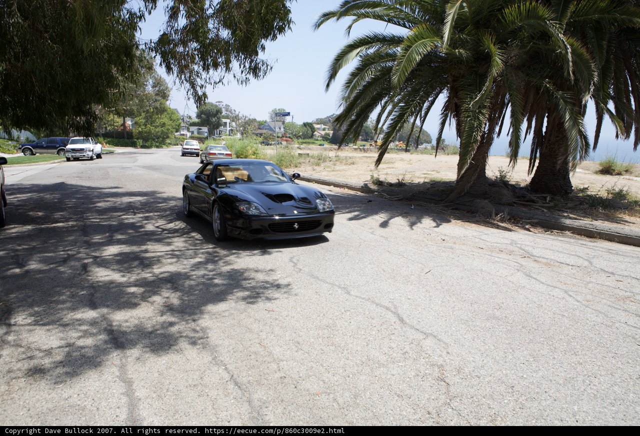 Cruising Under the Palms