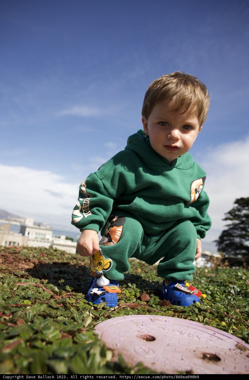 Wesley's Day Out in Francisco Park