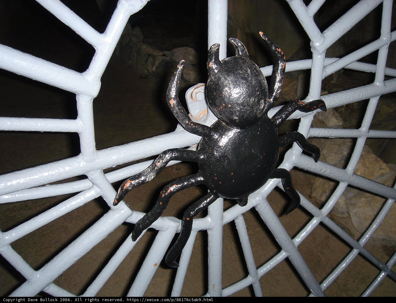 The Arachnid in Captivity