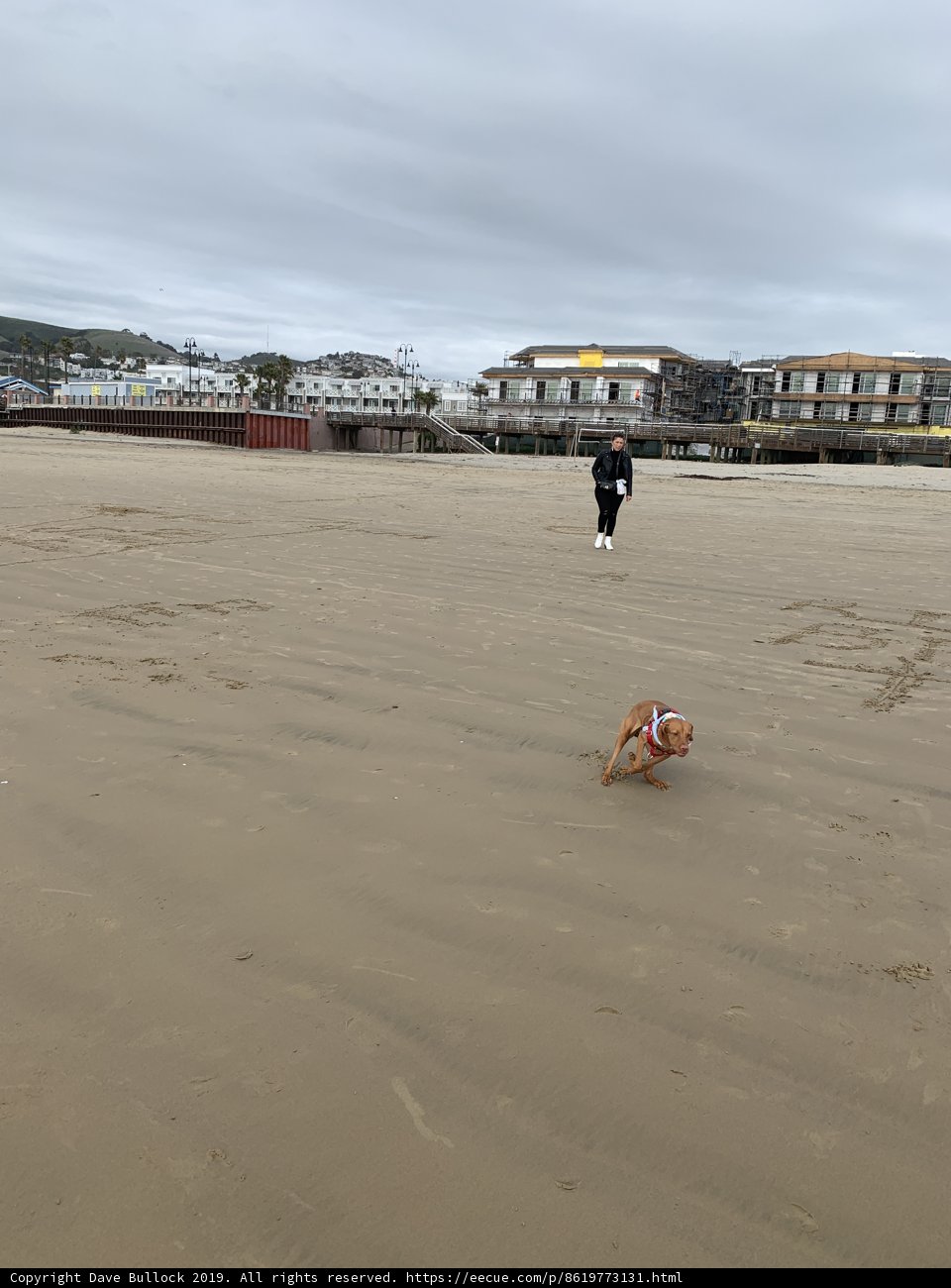 Running Free on Pismo Beach