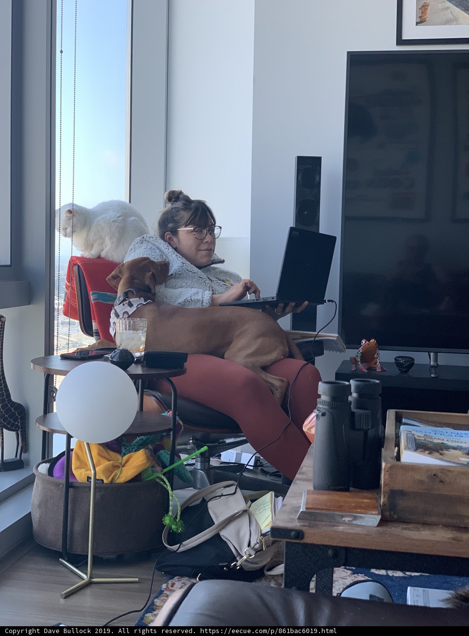 The Art of Sitting