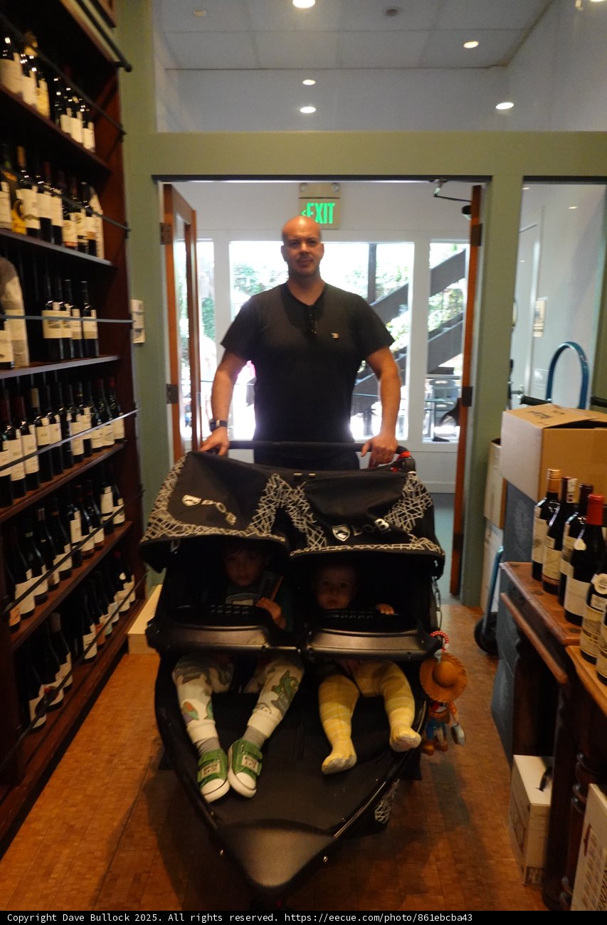 Strolling Through the Cellar