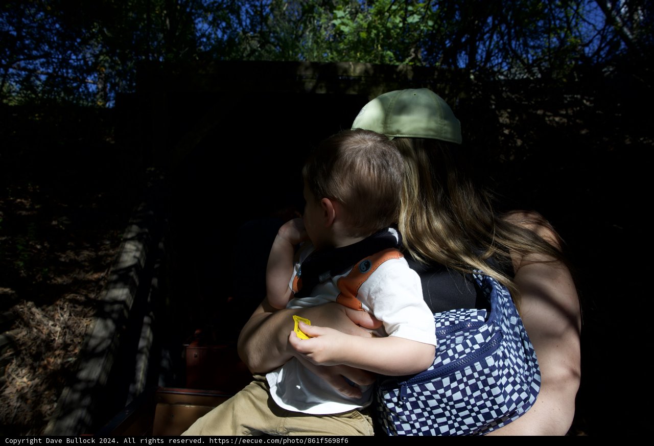 Adventure in the Shade