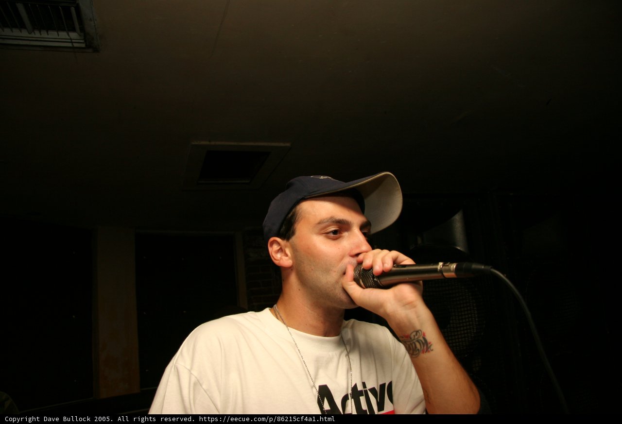 Microphone in Hand: The Entertainer's Spotlight