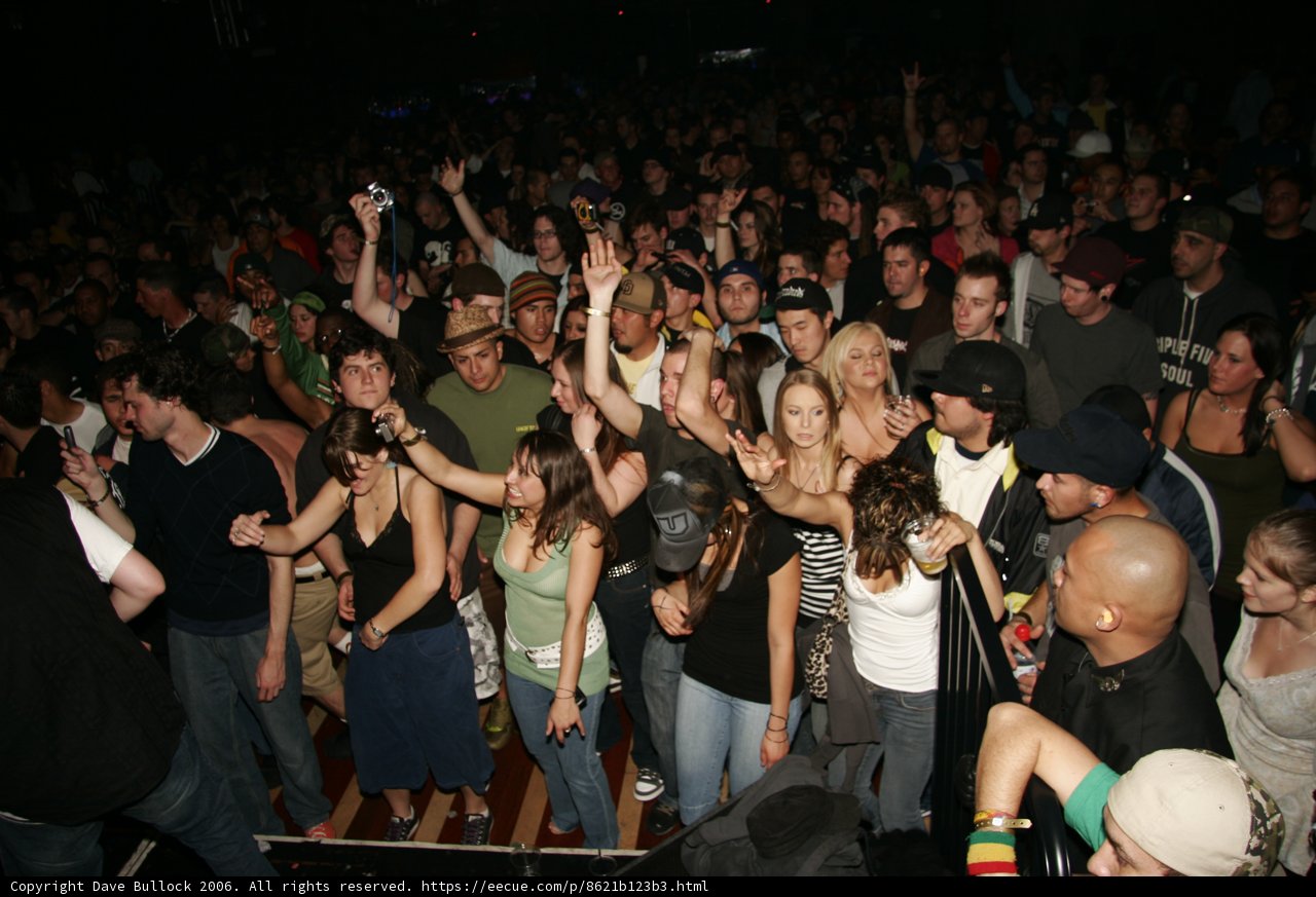 The Ultimate Nightlife Experience
