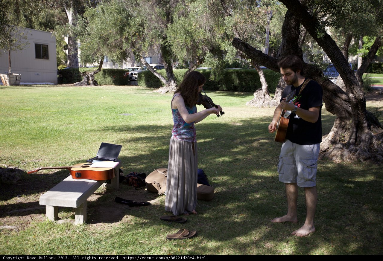 Serenading Among the Grass