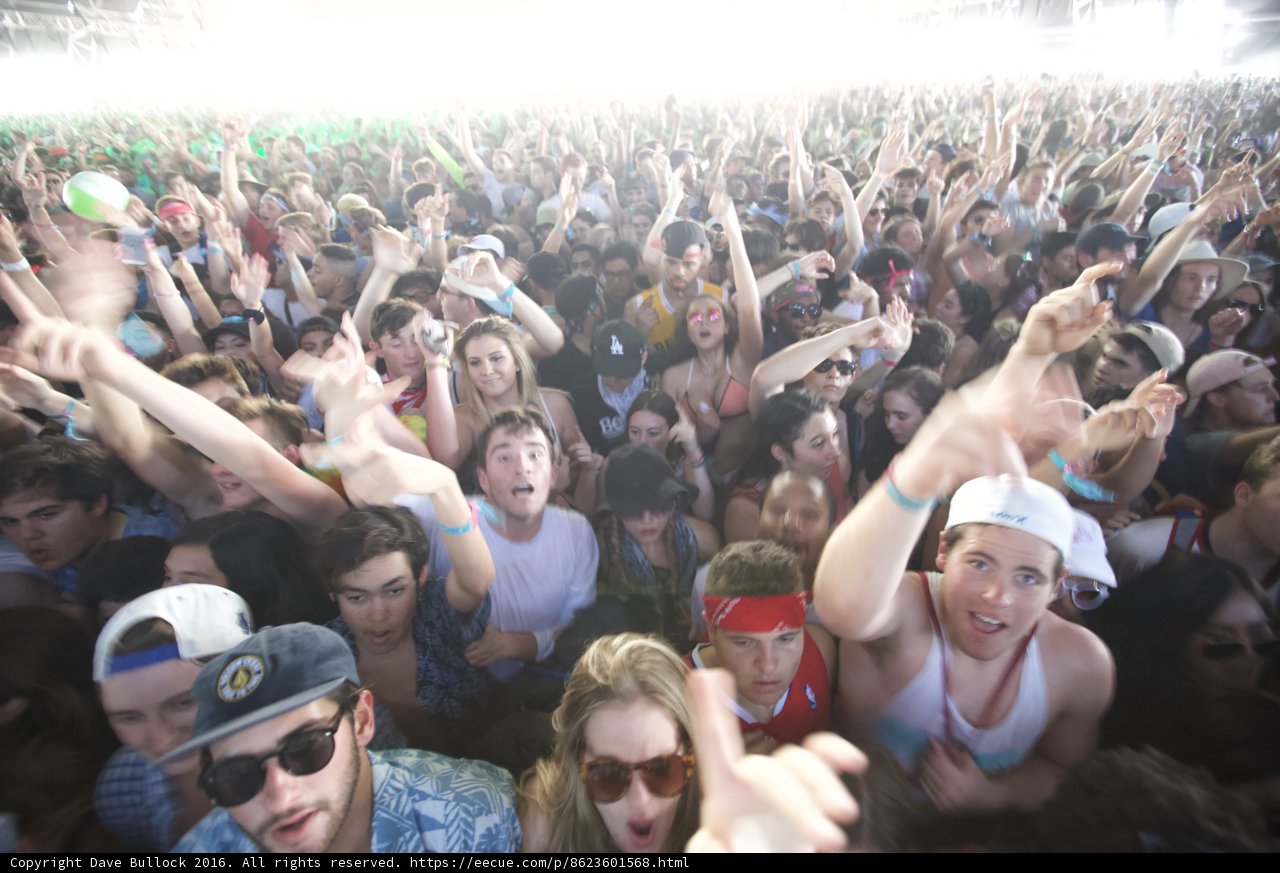 Coachella Crowd Goes Wild