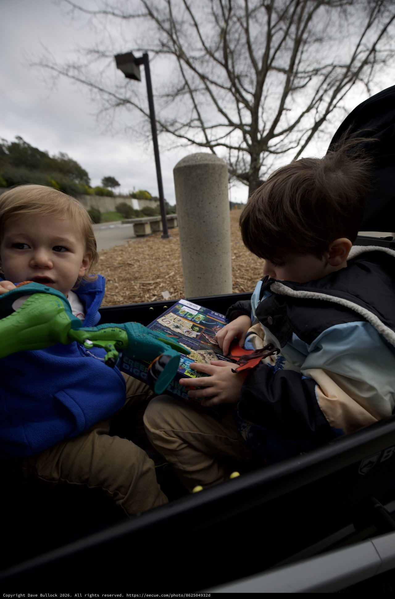 Brothers Reading Together at Playground on Winter Day