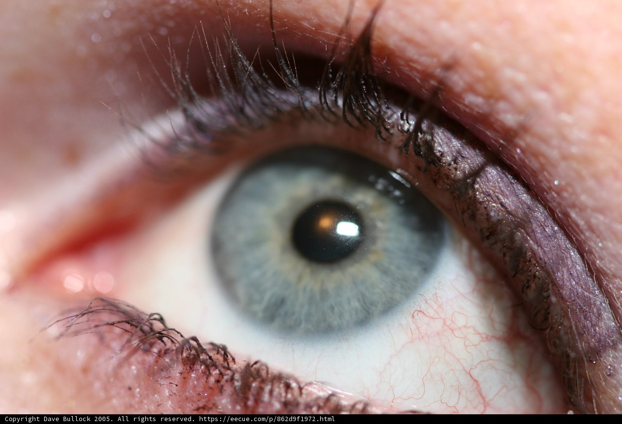 Blue-eyed Beauty