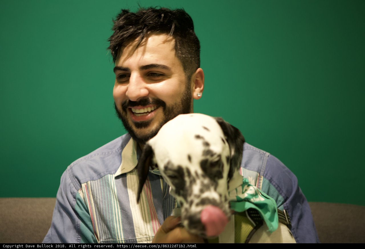 A Happy Man and His Dalmatian