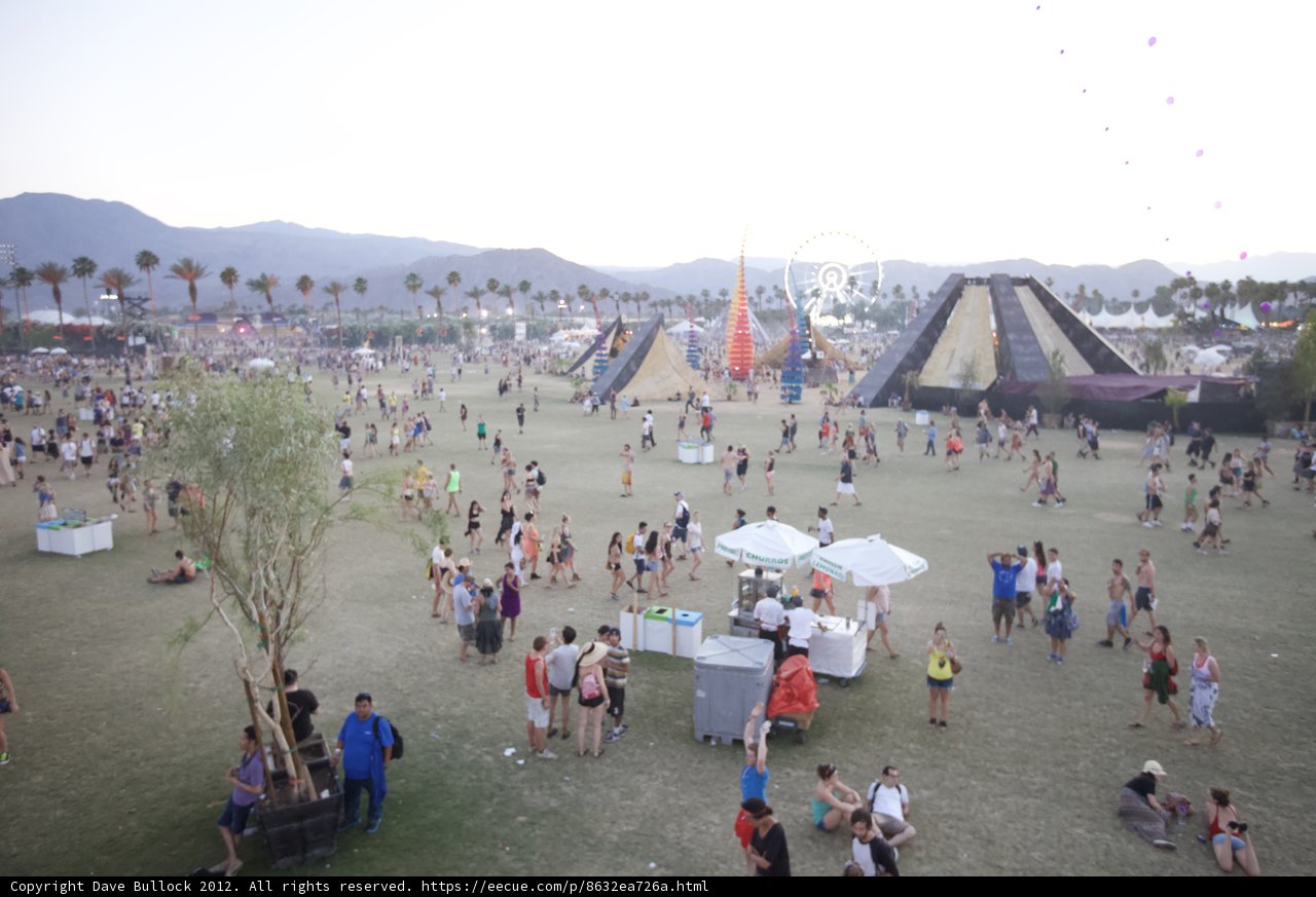 Festival Fun