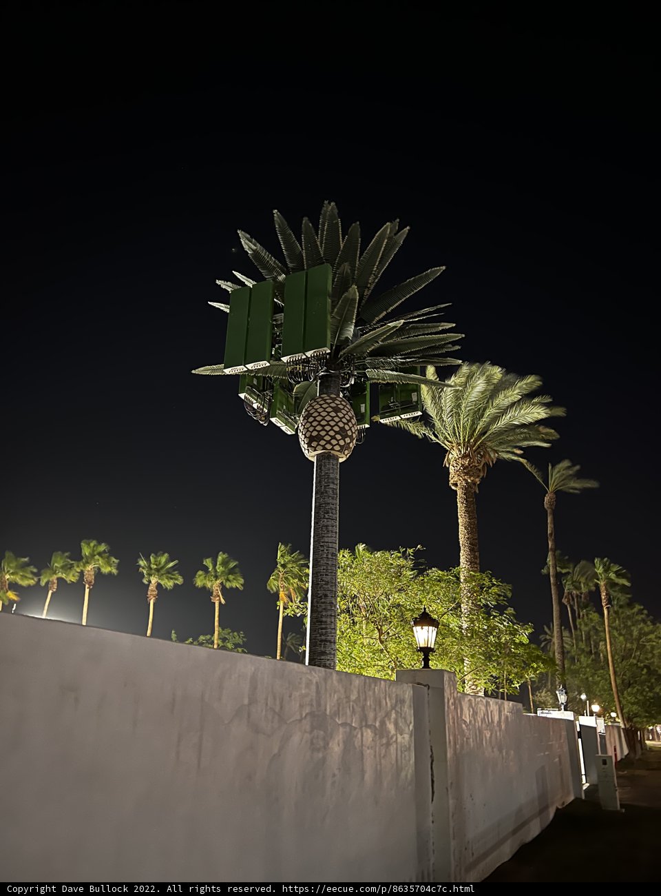 Illuminated Palm Tree Advertisement
