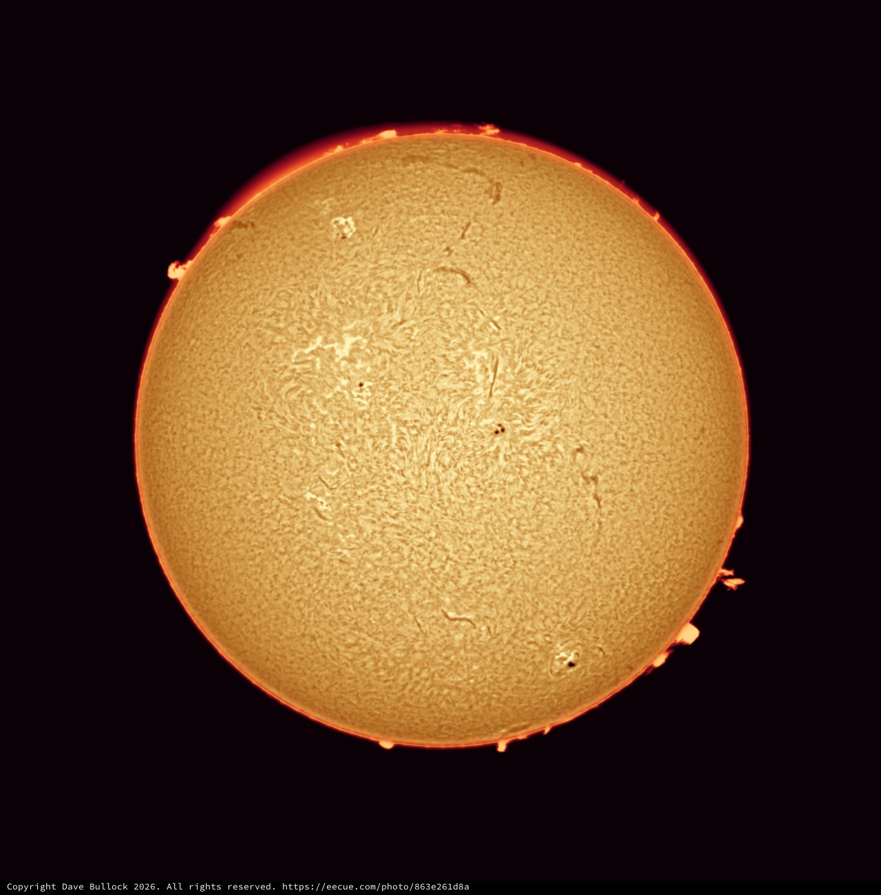 Solar Chromosphere in Hydrogen-Alpha Light