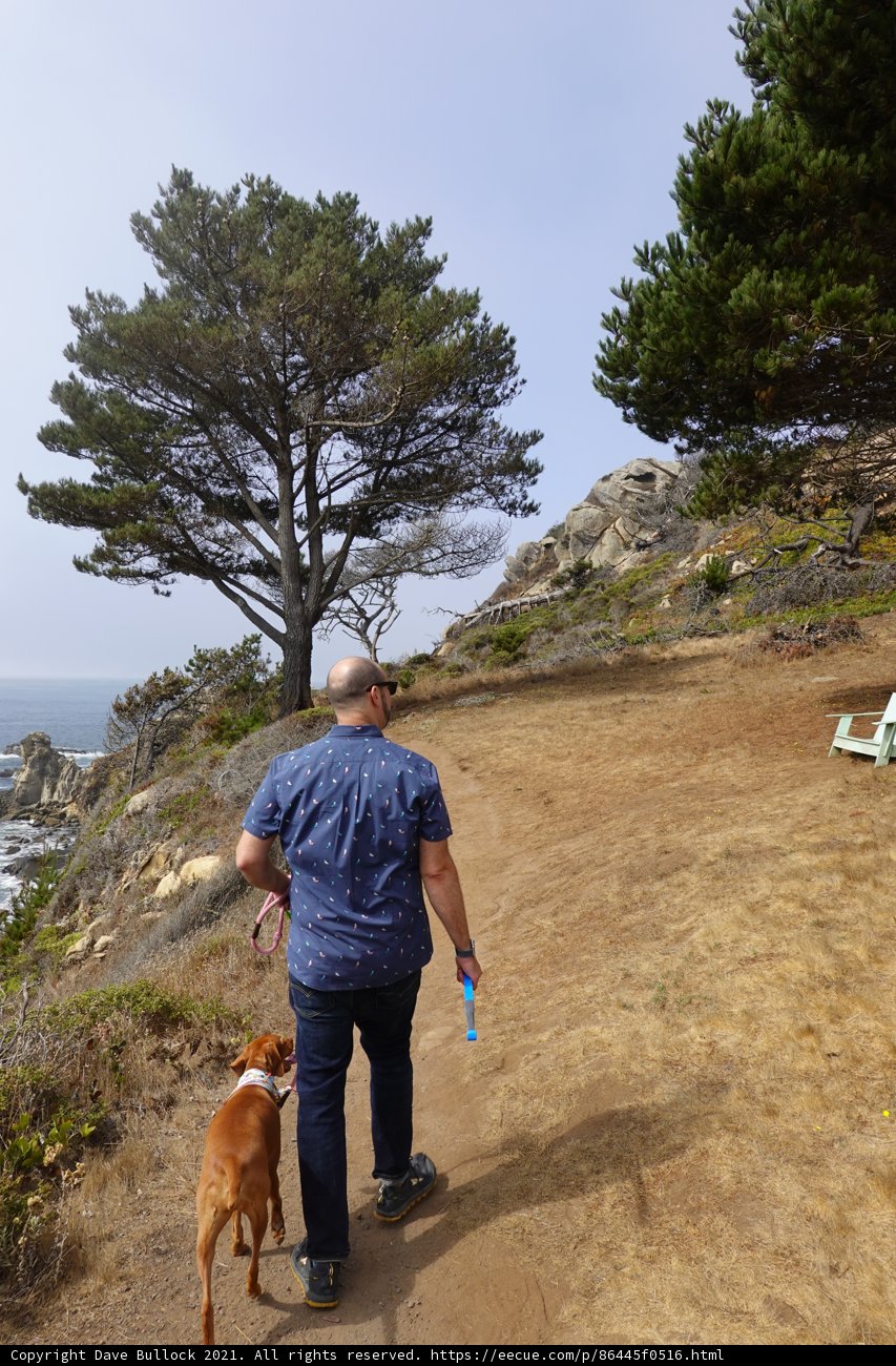 Coastal Adventure with Man's Best Friend