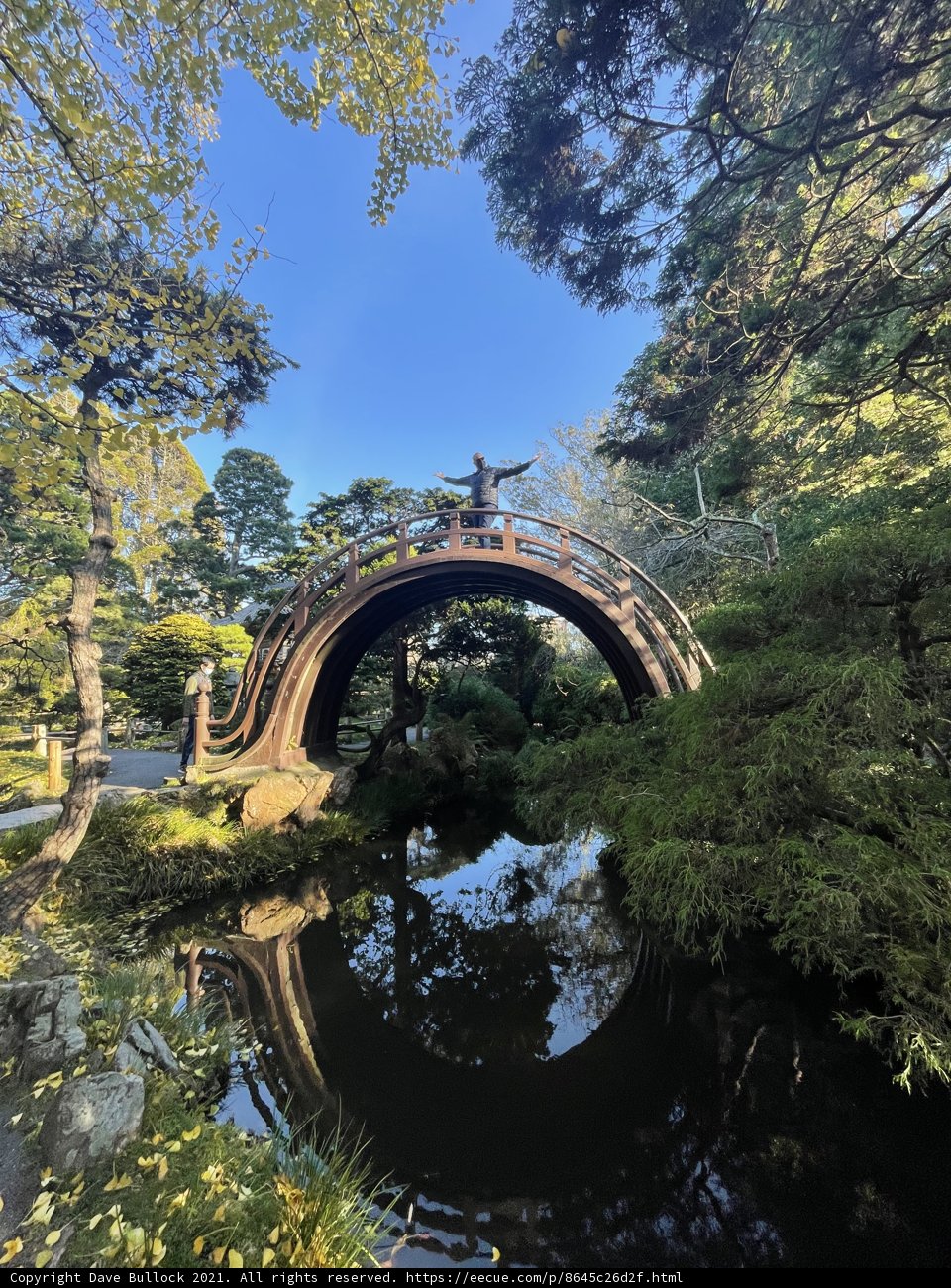 Serene Bridge Reflection in Japanese Garden
