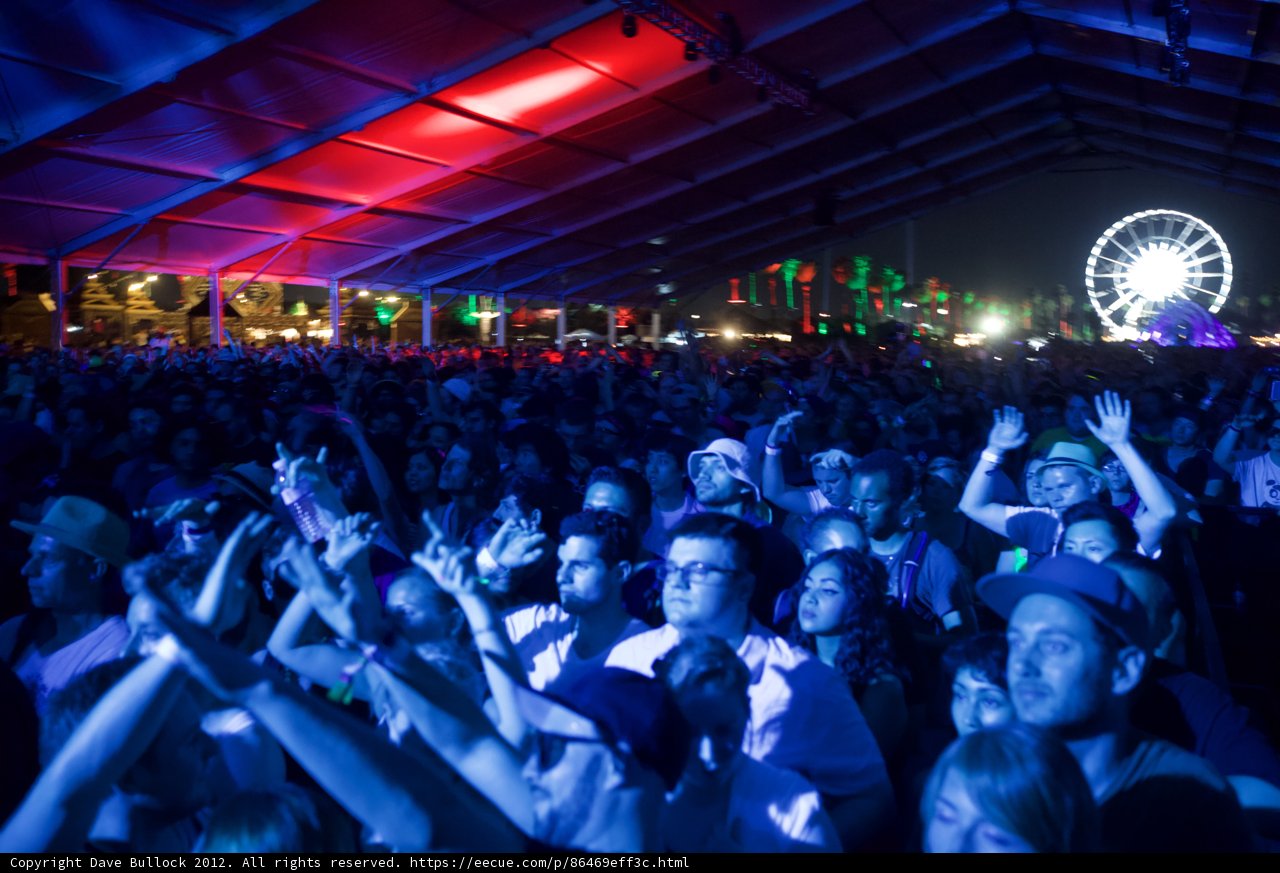 Concert Crowd with Ferris Wheel