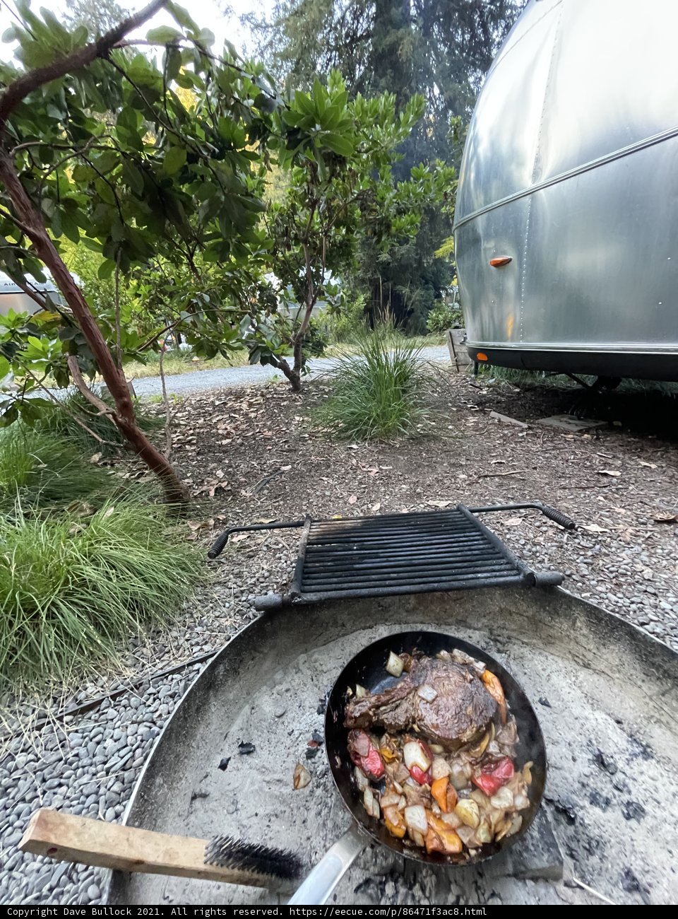 Fireside Dining in the Heart of Nature