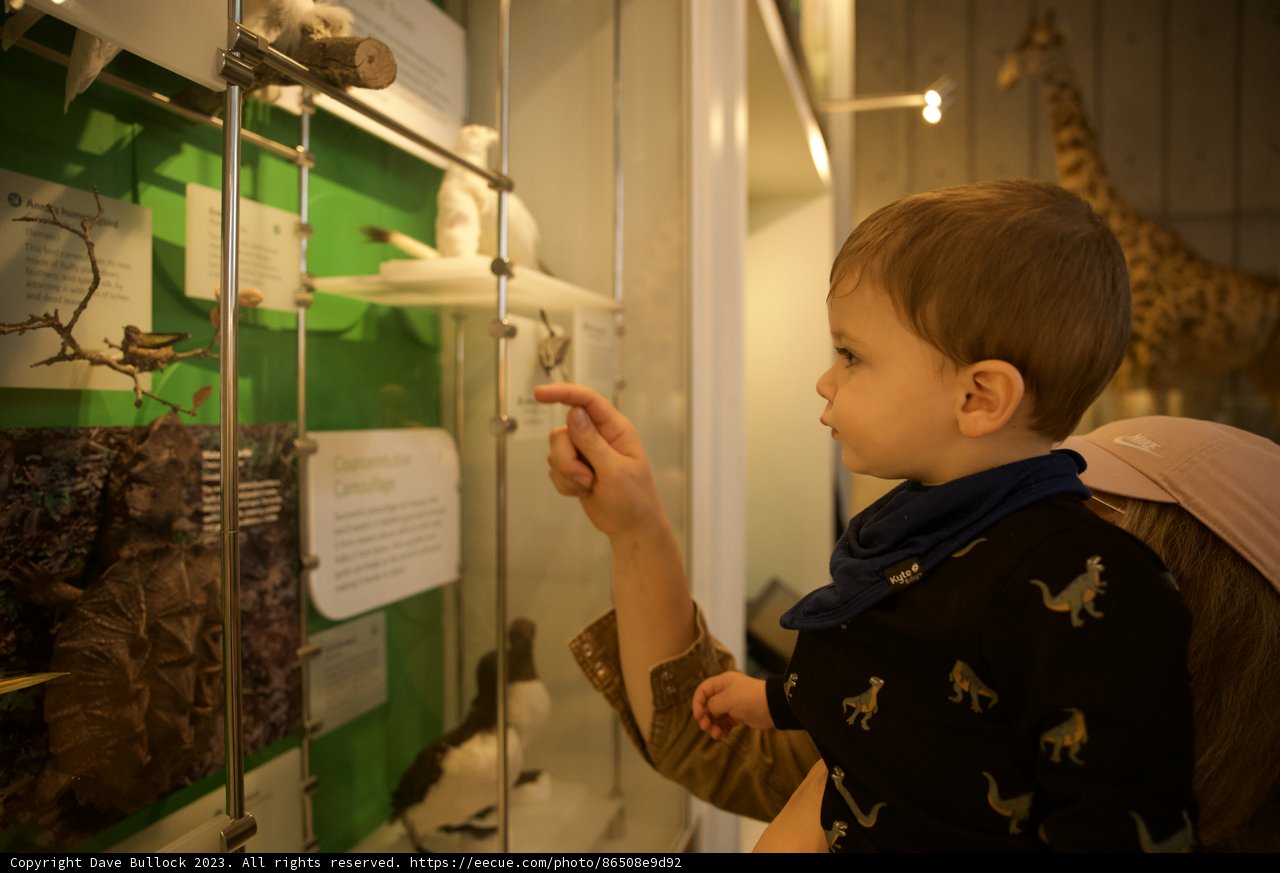 A Captivating Discovery at the Academy of Sciences