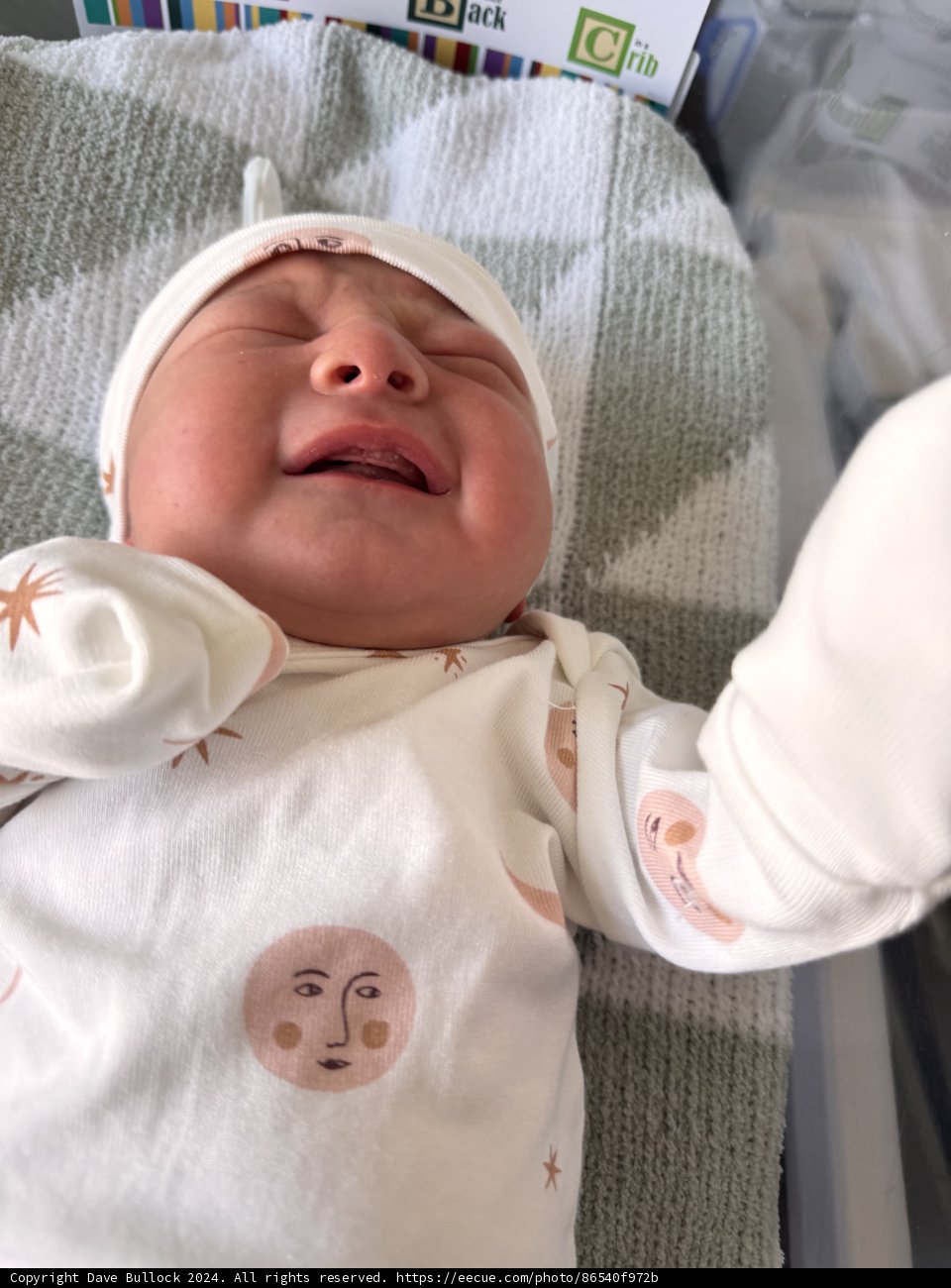 Welcome to the World, Leland