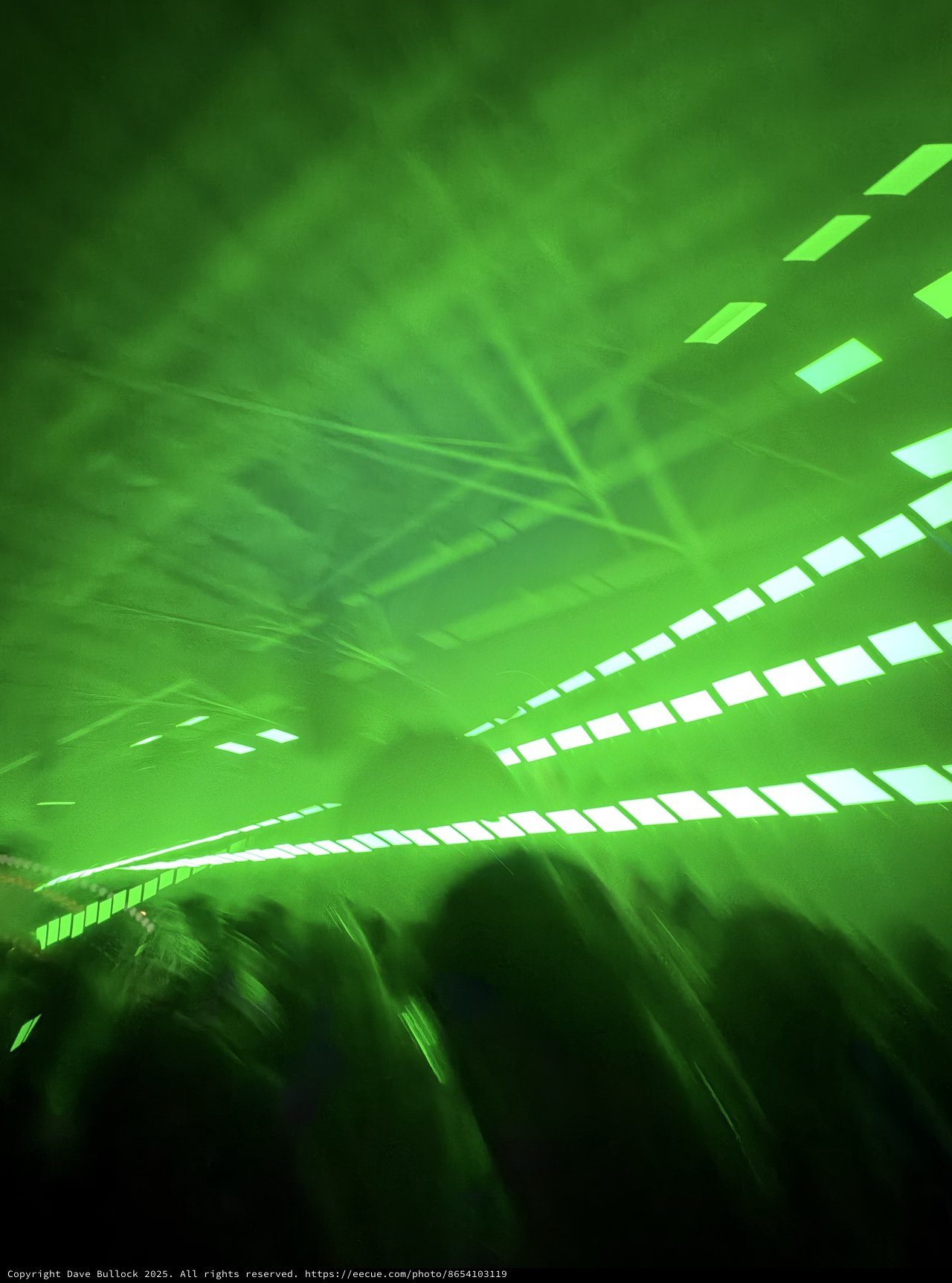 Immersive Green Laser Light Show at Electronic Music Concert
