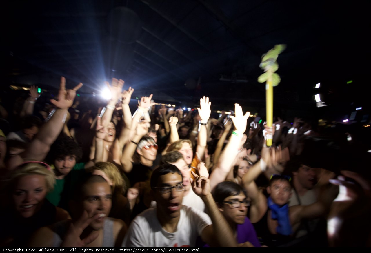 Hands Up in the Crowd