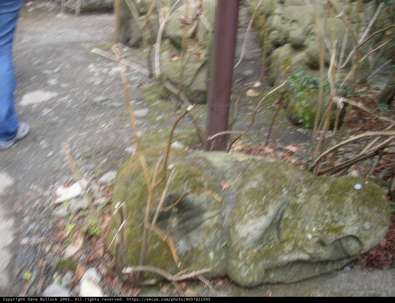 Walking Amongst the Kyoto Temples
