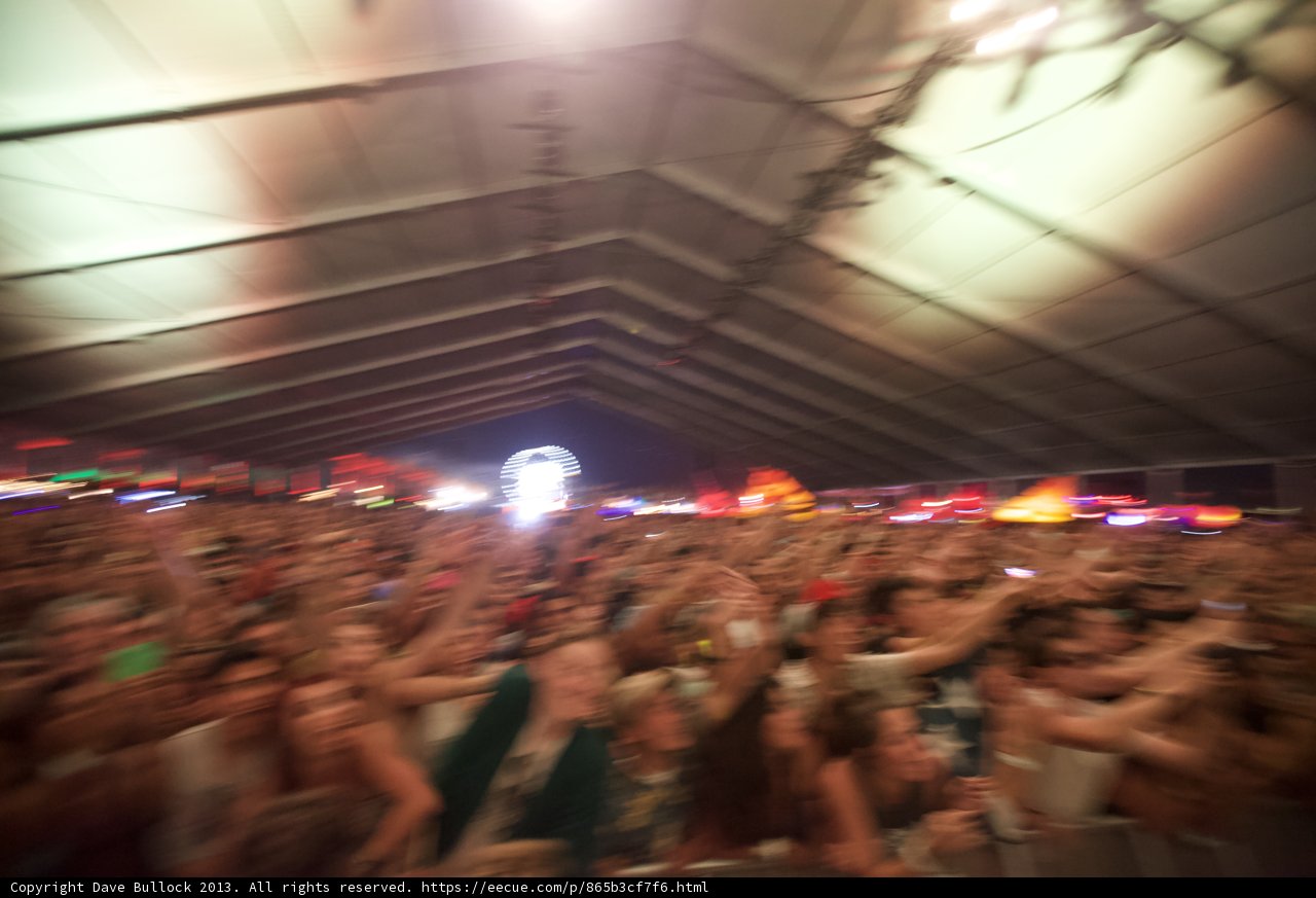 A Sea of Music Lovers