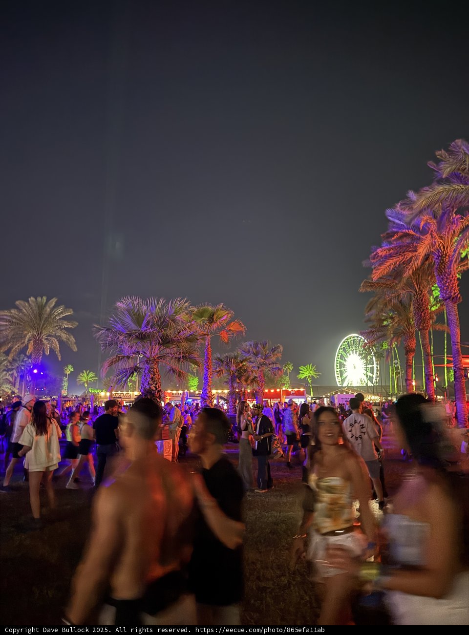 Electric Nights Under the Palms