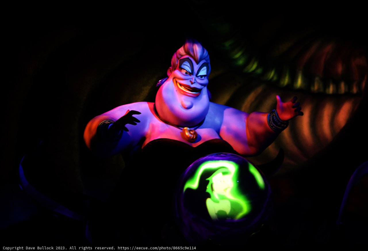 Magical Encounter at Disneyland
