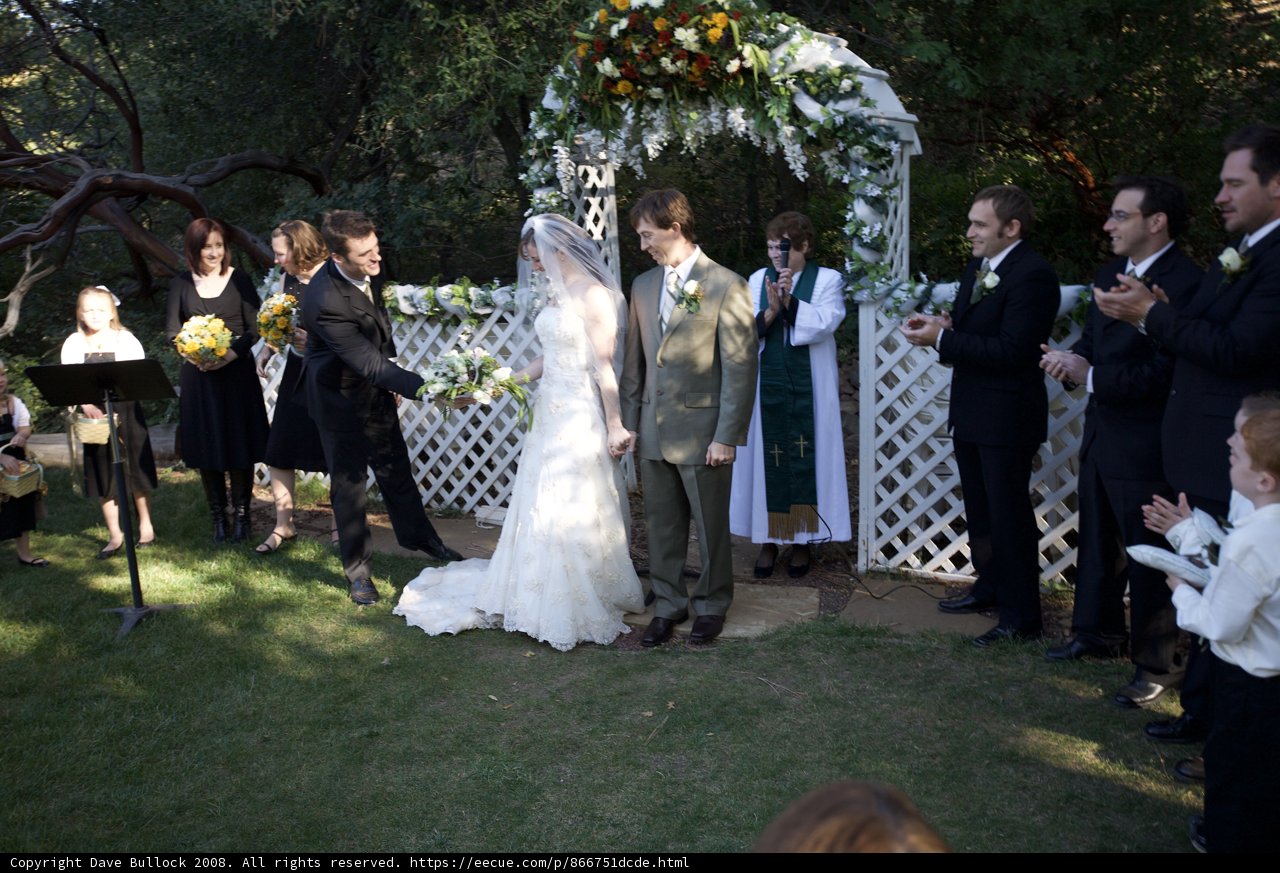 A Backyard Wedding Dream