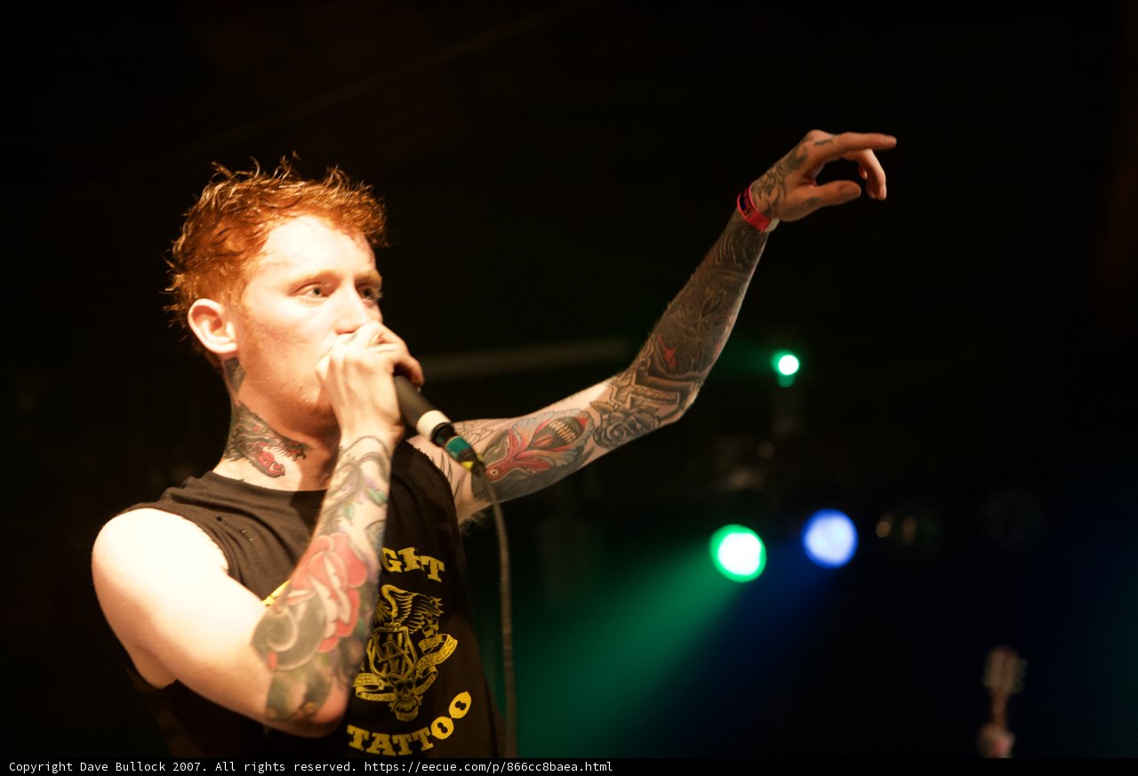 Singing with Ink